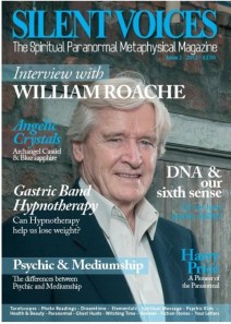 Sadly the voices didn't stay silent