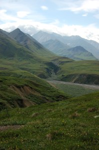 Denali National Park