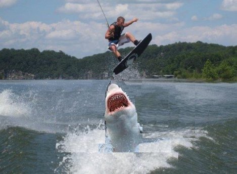 FUCK YEAH BENEDICT CUMBERBATCH